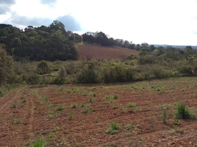 Ref. 2310-2 Excelente para uso Urbano, Rural ou Industrial á 300 mts da Rod. do Xisto - Foto 2
