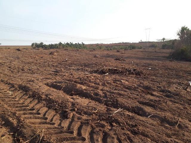 Vendo uma fazenda de 250 hectares em Caxias/MA ideal SOJA - Foto 9