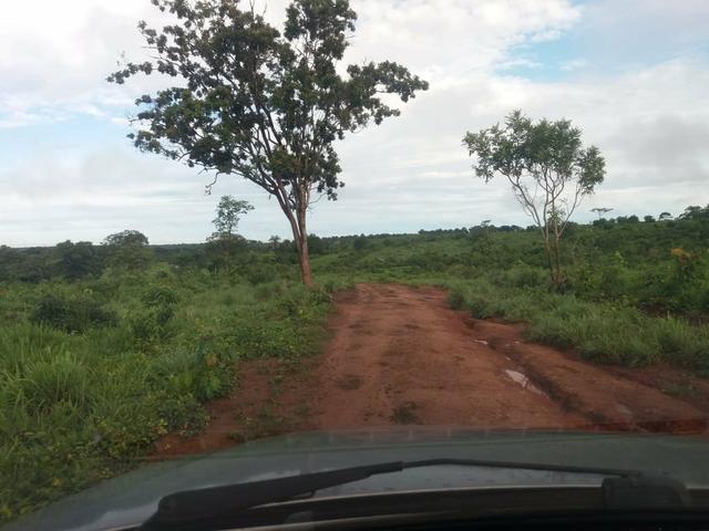 Fazenda em Grajaú, oportunidade - Foto 3