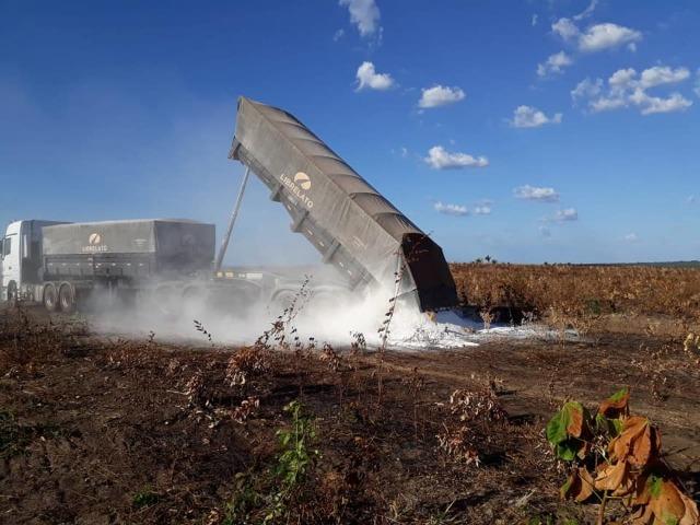 Vendo uma fazenda de 250 hectares em Caxias/MA ideal SOJA - Foto 10