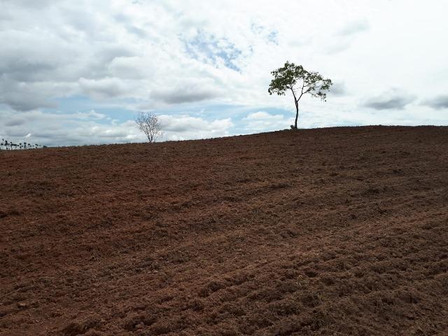 Excelente fazenda em Presidente Olegário/MG- oportunidade - Foto 12