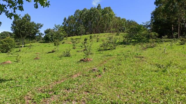 Chácara 2 Alqueires Formada 9 Km Asfalto Corumbá Goiás - Foto 12