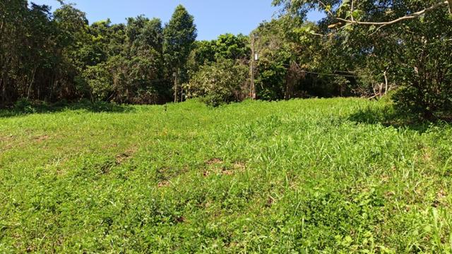 Chácara 2 Alqueires Formada 9 Km Asfalto Corumbá Goiás - Foto 8