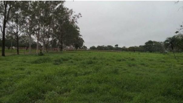 Fazenda à venda, 12620000 m² por R$ 22.000.000,00 - Aeroporto - Feira de Santana/BA - Foto 14