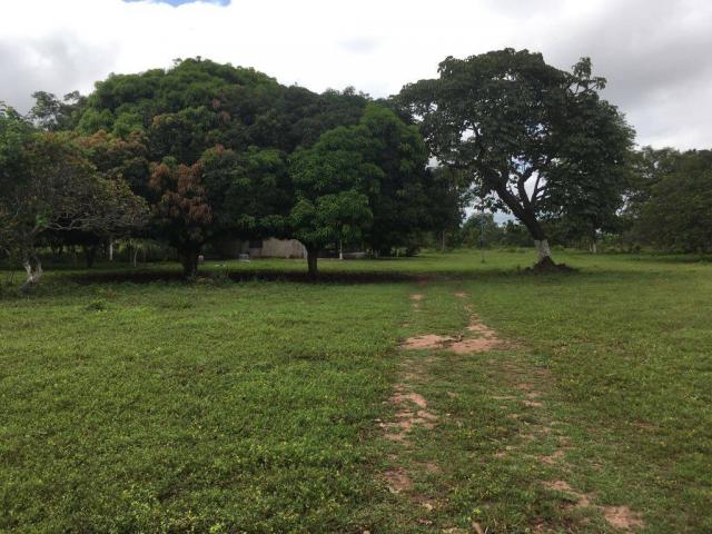 Chácara à venda em Zona rural, Cuiaba cod:21135 - Foto 10