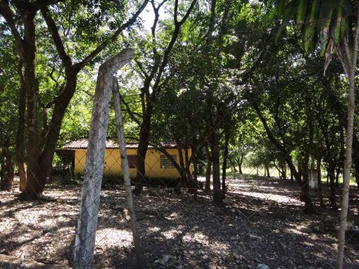 Chácara à venda com 3 dormitórios em Jardim potiguar, Varzea grande cod:15475 - Foto 16
