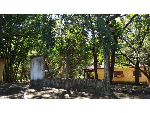 Chácara à venda com 3 dormitórios em Jardim potiguar, Varzea grande cod:15475 - Foto 2