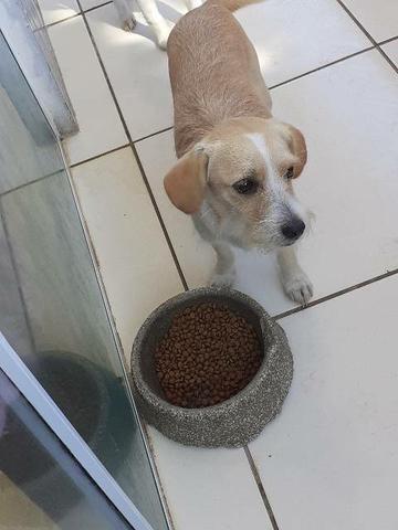 Doação - Foto 6