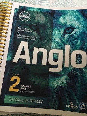 Kit Caderno Anglo 1°EM 2°bimestre 