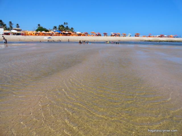 Sítio/ Fazenda no Conde de 33 tarefas com sede rio e lagoa na Linha Verde/ Litoral Norte - Foto 9