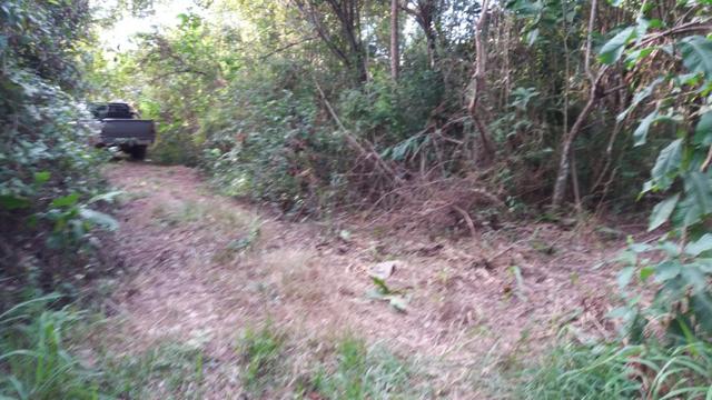 Rancho Barranco Alto - Foto 5