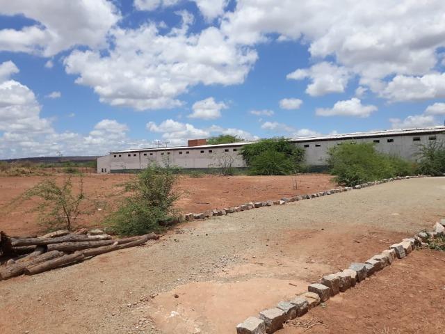 Ibimirim=Vend.5.500 mil por Hect=Fazenda mil Hect. Pronta pra Criar e Plantar=Água,Energia - Foto 14