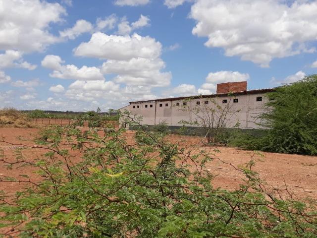 Ibimirim=Vend.5.500 mil por Hect=Fazenda mil Hect. Pronta pra Criar e Plantar=Água,Energia - Foto 15
