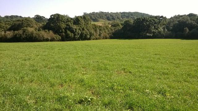 Sítio em Lagoa Vermelha RS - Foto 3