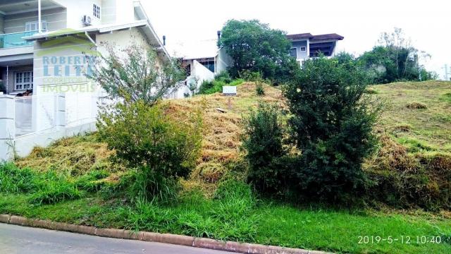 Terreno, Protásio Alves, Porto Alegre-RS - Foto 2