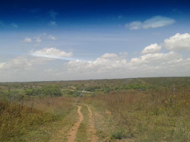 Fazenda com 62 há na br 304, com rio potengi, casa, deposito - Foto 11