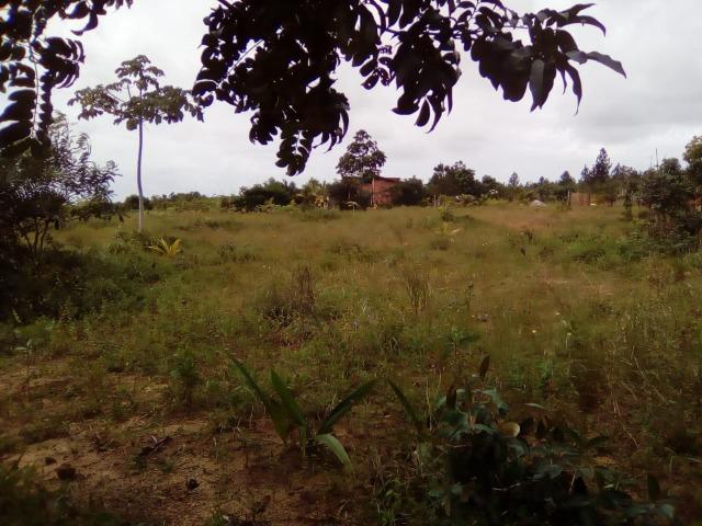 Sitio na Linha Verde (Cidade do Conde) Próximo a rios) - Foto 7