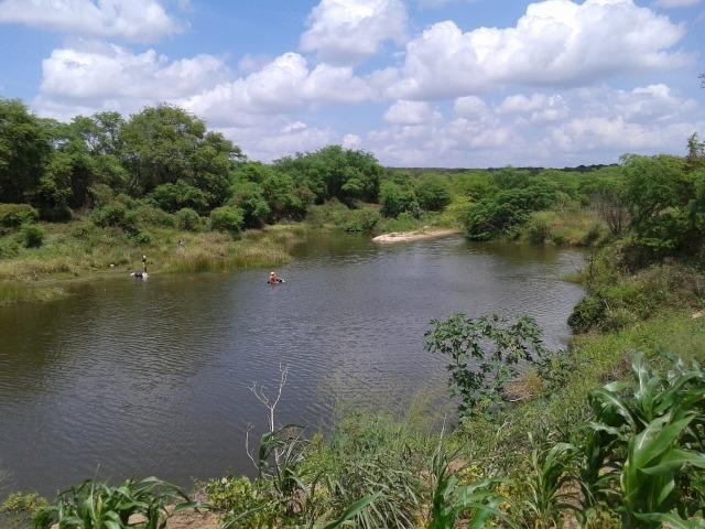 Fazenda com 62 há na br 304, com rio potengi, casa, deposito - Foto 15