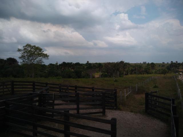 51 alqueires (250 hectares) com 30 alqueires de pasto por 850 mil reais no Pará - Foto 16