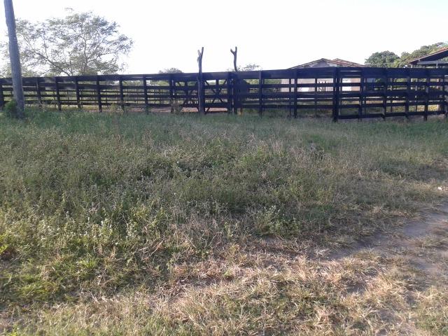 Fazenda com 290 há, casa, curral, 4 barreiros, muito pasto - Foto 19