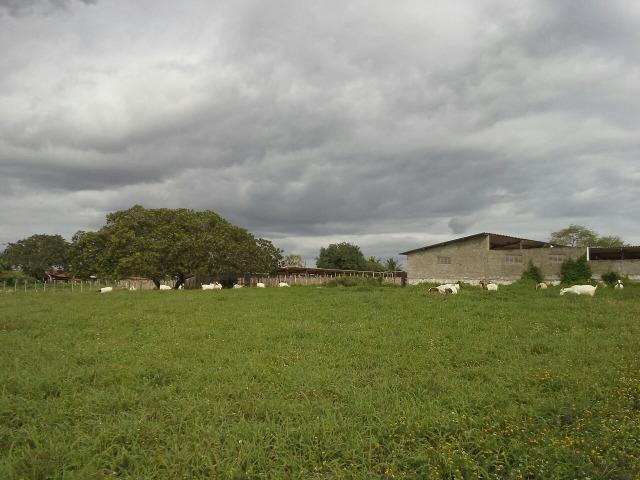 Fazenda com 80 há na br 304, casa, curral,aprisco, rio potengi - Foto 9