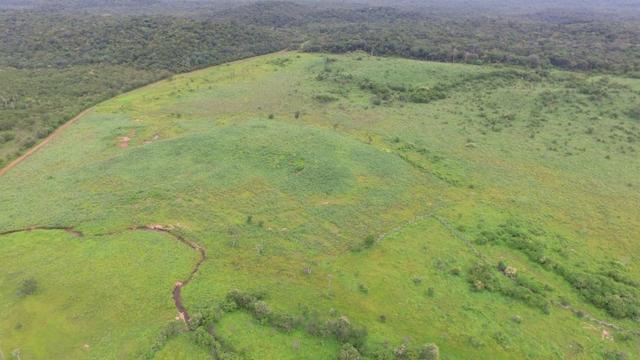 Fazenda em Piracuruca-PI - Foto 10
