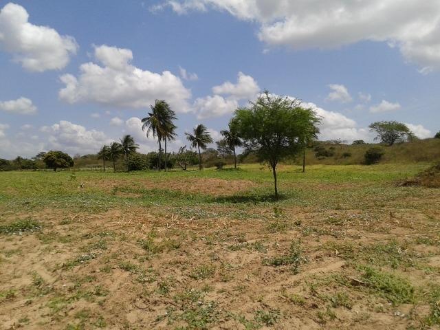 Fazenda com 62 há na br 304, com rio potengi, casa, deposito - Foto 6