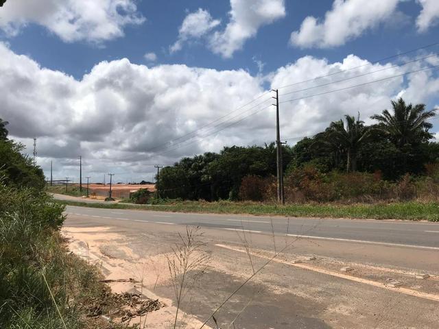 Terreno Vila Maranhão - Foto 3