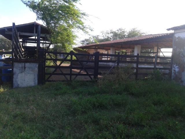 Fazenda com 290 há, casa, curral, 4 barreiros, muito pasto - Foto 20