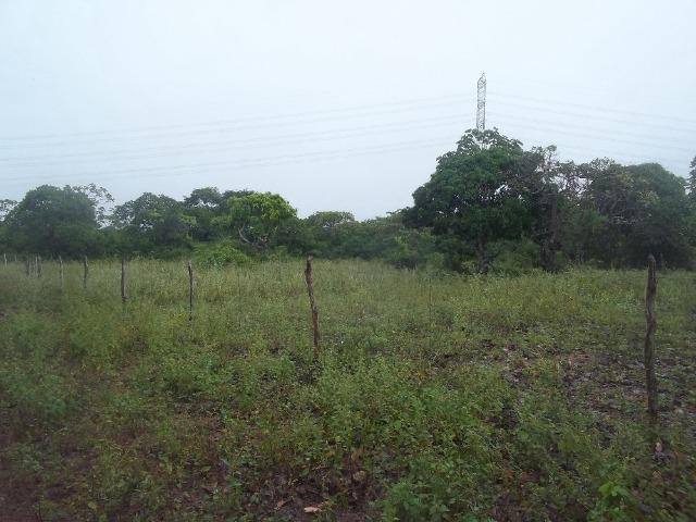 Fazenda com 110 há a 20 km de macaíba, 4 casas, 3 poços, riacho, barreiro - Foto 7