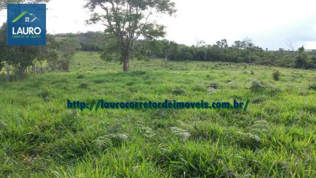 Terra em Catuji/MG com 7,5 alqueires - Foto 11