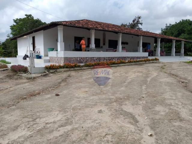 Fazenda com 4 dormitórios à venda, 800000 m² - zona rural - gravatá/pe - Foto 2