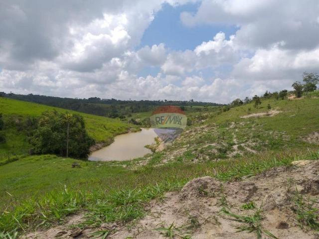 Fazenda com 4 dormitórios à venda, 800000 m² - zona rural - gravatá/pe - Foto 13