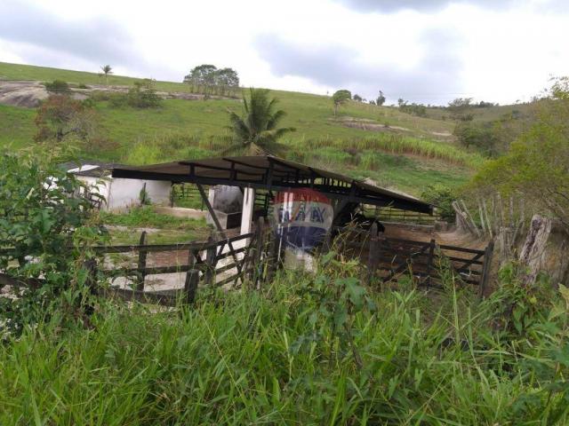 Fazenda com 4 dormitórios à venda, 800000 m² - zona rural - gravatá/pe - Foto 12