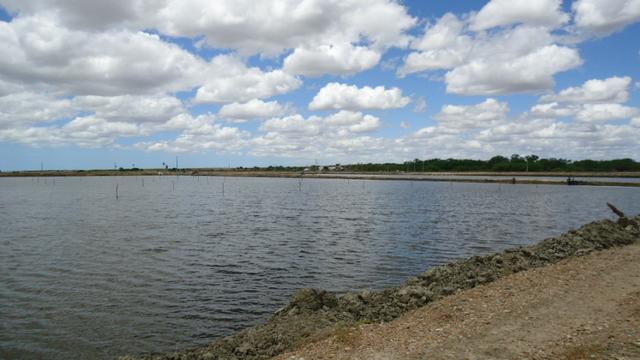 Vendo Fazenda para Produção de Camarão e Peixe - Foto 14