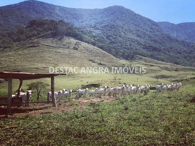 Fazenda na Serra D?água em Angra- 65 Alqueires - Foto 11