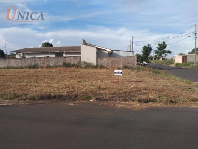 Terreno à venda, 200 m² por R$ 60.000 - Jardim Santos Dumont - Paranavaí/Paraná - Foto 4