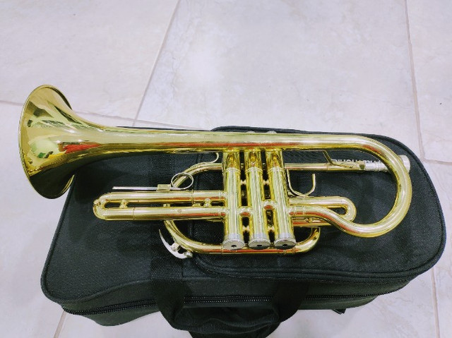 Trompete Cornet Laqueado Si Bemol Harmonics