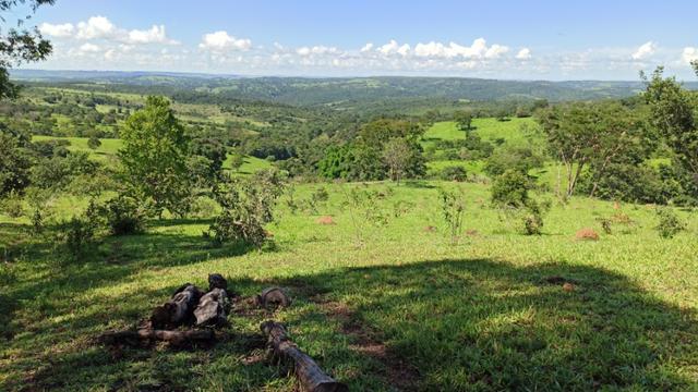 Chácara 2 Alqueires Formada 9 Km Asfalto Corumbá Goiás - Foto 11