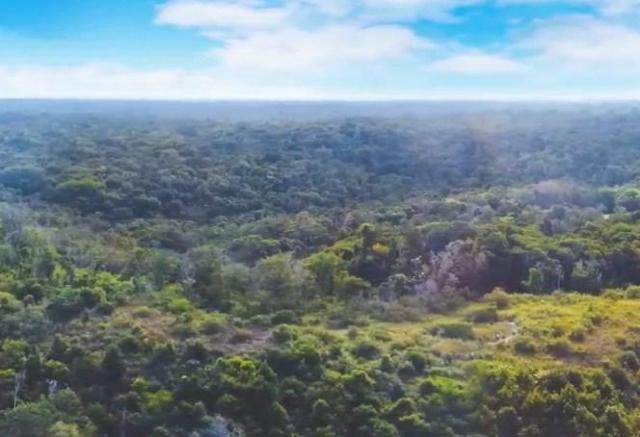 Fazenda à venda, 2100000 m² por R$ 21.000.000,00 - Santo André - Santa Cruz Cabrália/BA - Foto 9