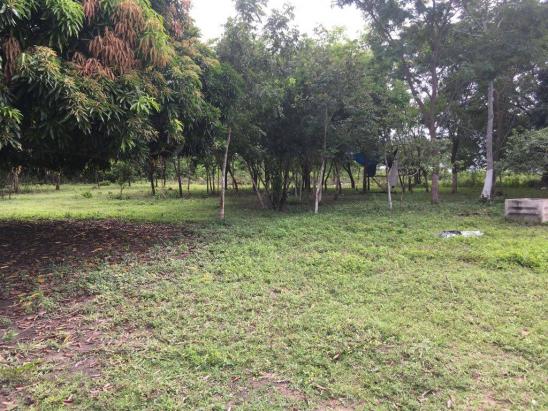 Chácara à venda em Zona rural, Cuiaba cod:21135 - Foto 12