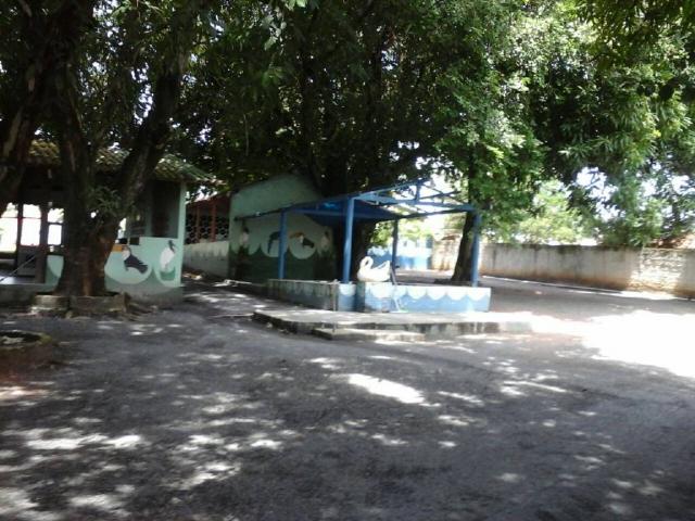 Chácara à venda em Distrito de nossa sra da guia, Cuiaba cod:21120 - Foto 8