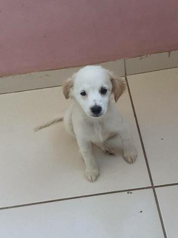 Doação - Foto 2