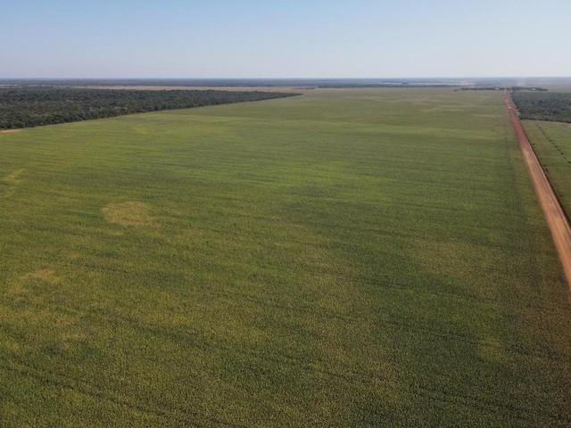 812.240.000 fazenda de 40.612 hectares em Pium-TO