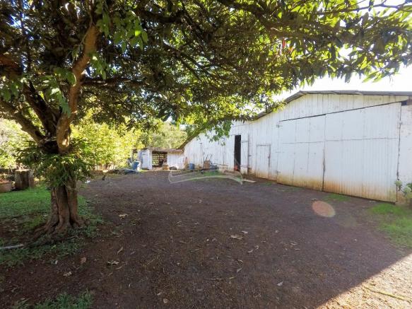 Chácara à venda em Interior, Santo antônio do planalto cod:10631 - Foto 5