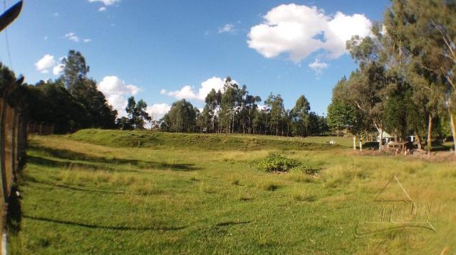 Chácara à venda em Sitio nono zonta, Passo fundo cod:8465 - Foto 19