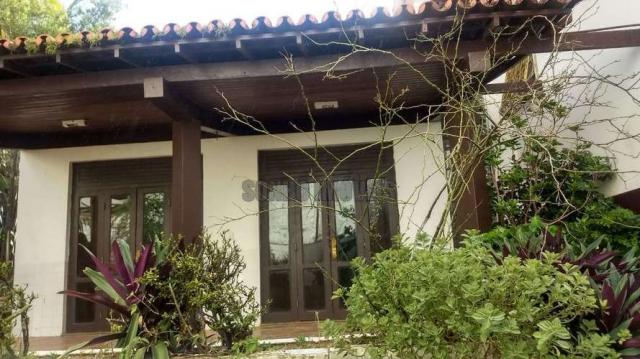Sítio com 1.600 m2 total com árvores frutíferas - Foto 15