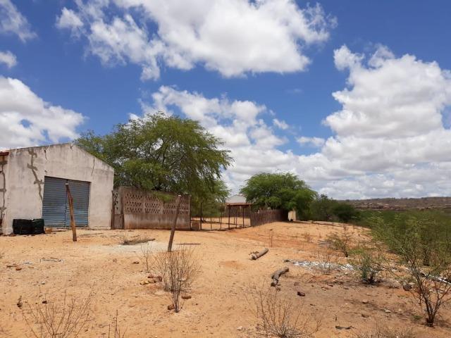 Ibimirim=Vend.5.500 mil por Hect=Fazenda mil Hect. Pronta pra Criar e Plantar=Água,Energia - Foto 5