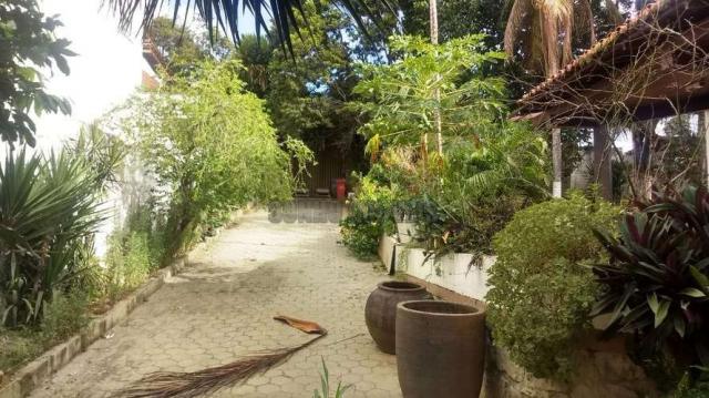 Sítio com 1.600 m2 total com árvores frutíferas - Foto 2