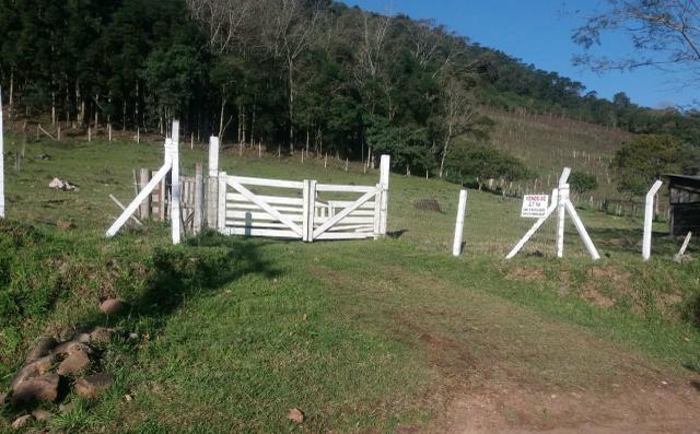 2.7 ha. linda chacara a apenas 7.5 km do centro de farroupilha - Foto 5
